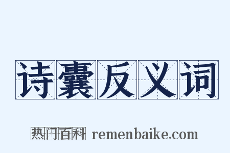 诗囊反义词是什么意思的图片